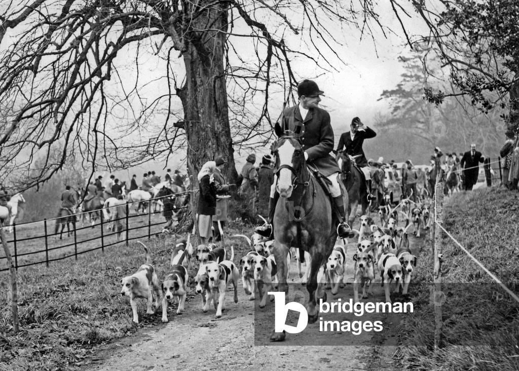 Opening Meet of the Cotswold Hunt, 14th November 1957 (b/w photo)