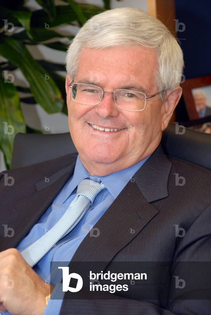 U.S. Republican Presidential candidate, former House Speaker Newt Gingrich, on June 15, 2011.