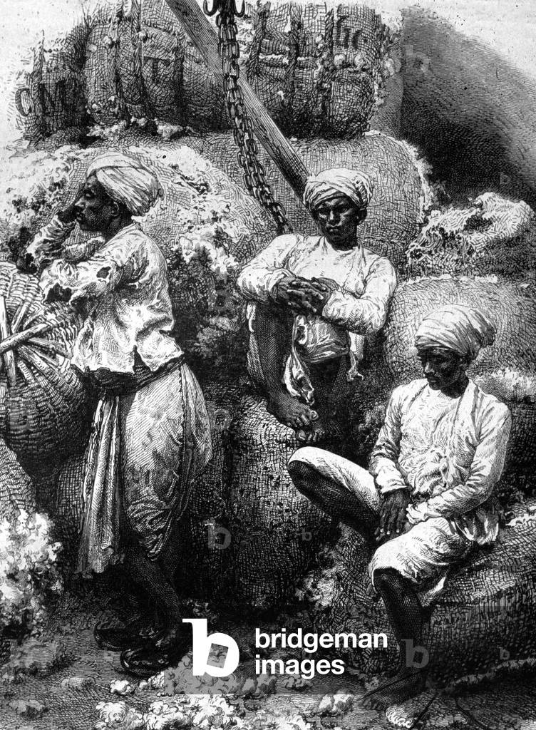 Cotton market, Sri Lanka (engraving)