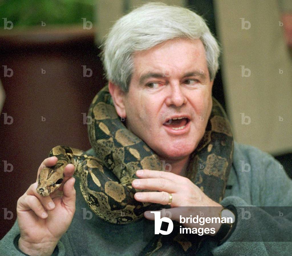 U.S. Republican Presidential candidate, former House Speaker Newt Gingrich, on February 18, 1996, at the Columbus zoo, with a snake on his shoulders.