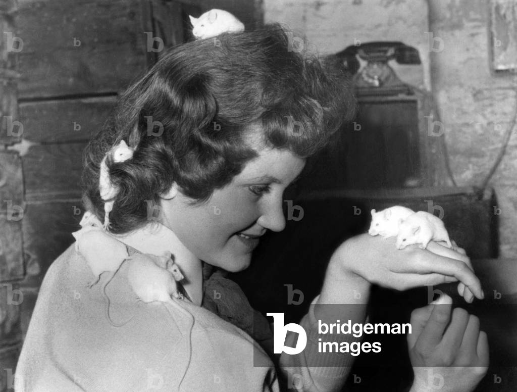Woman with little white mice on the hands and in the hair, 50's (photo)