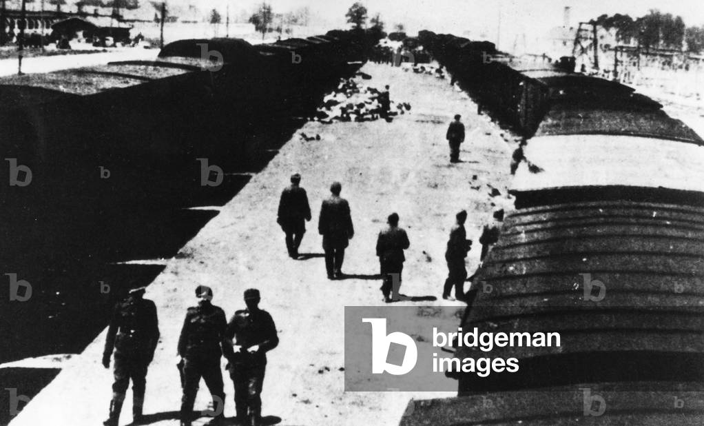Image of Ramp in Auschwitz (b/w photo)