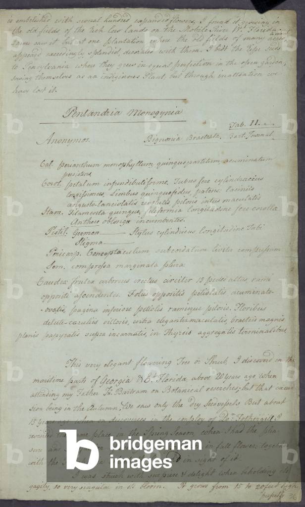 "Lettera di William Bartram a Robert Barclay" 1788