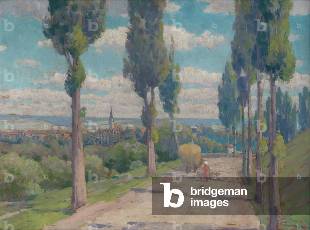 Veduta di Spišská Nová Ves, 1900-20 (olio a bordo)