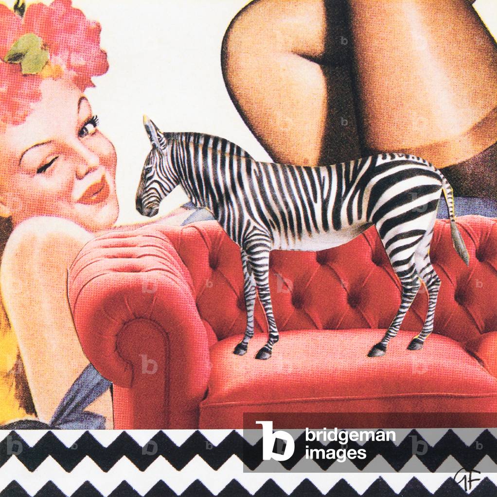 ZigZag Zebra (collage)