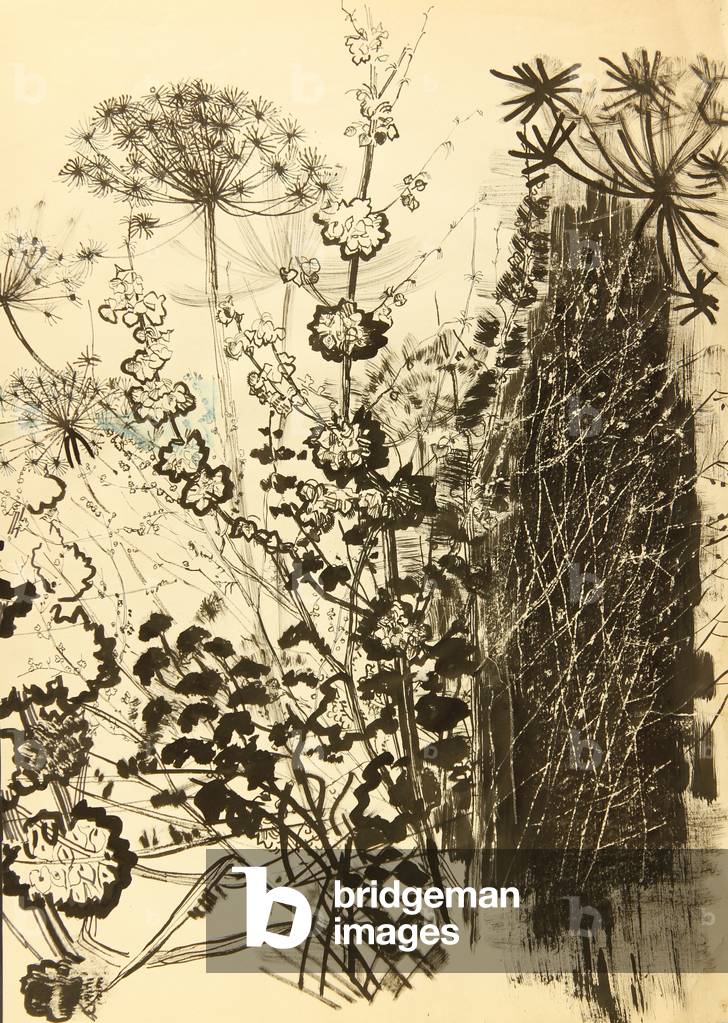 Image of Drawing depicting Wild Flowers 1970 by Nina Shirokova