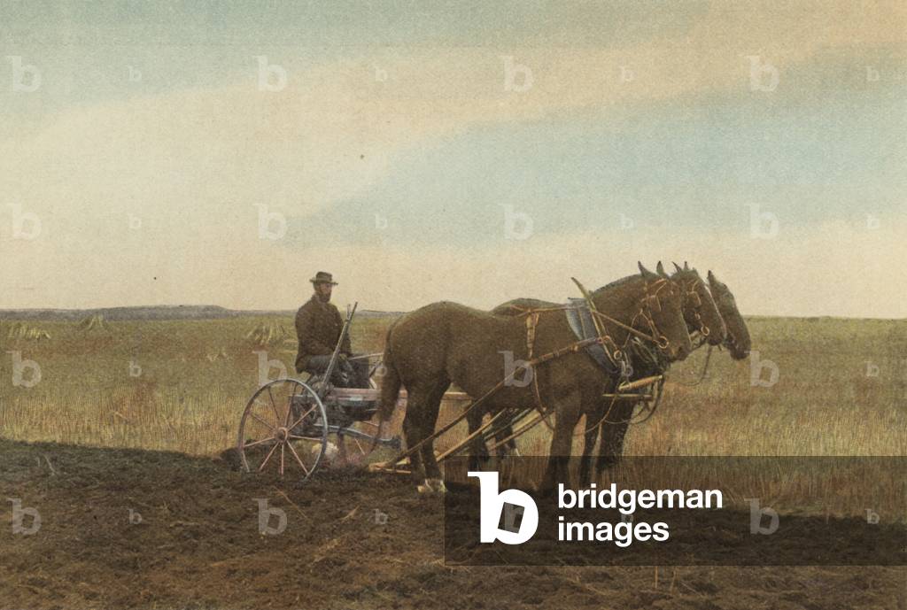 Sulky Plough on Wheat Farm (foto a colori)