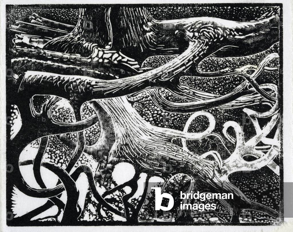 Tree Roots, vers 2010 (gravure)