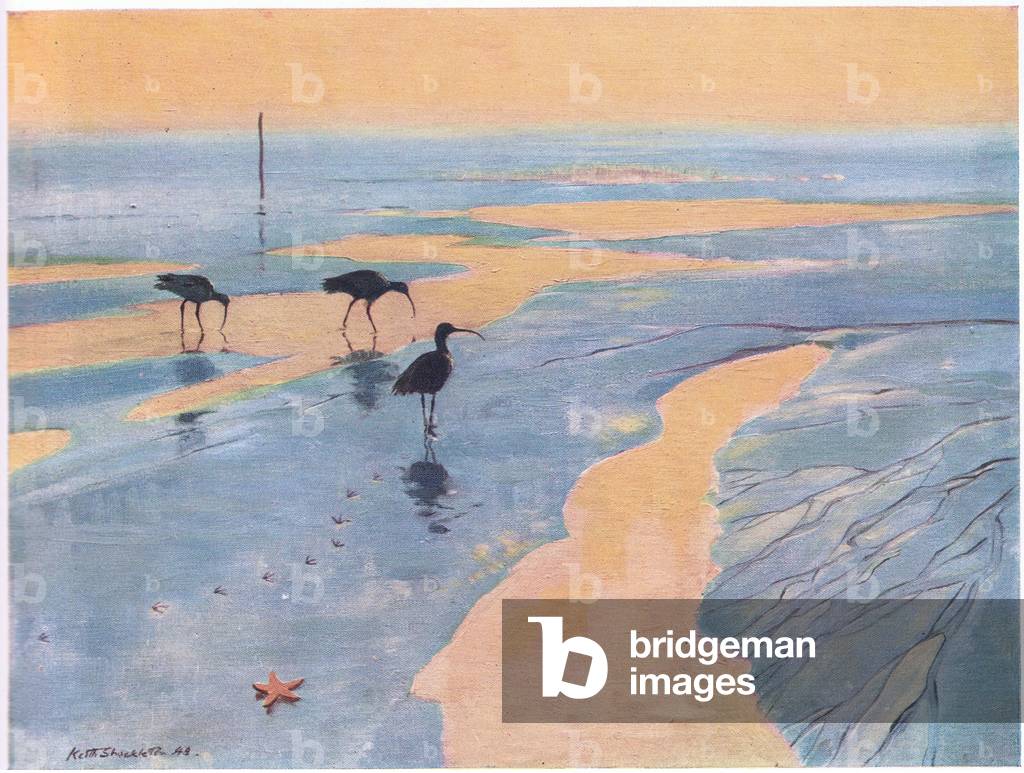 Marée basse (litho)