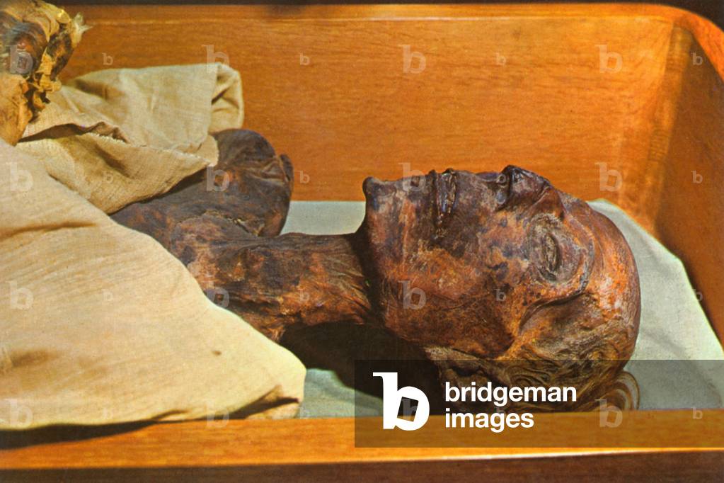 Image of Mummy of Ramses II (1292-1225 BC) 19th dynasty by Unknown ...
