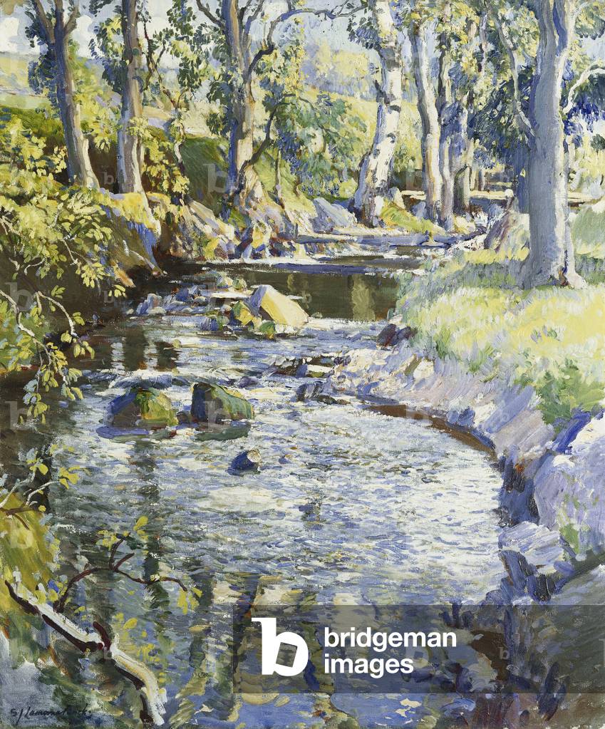 il mezzogiorno sole, Highland Burn, (olio su tela)