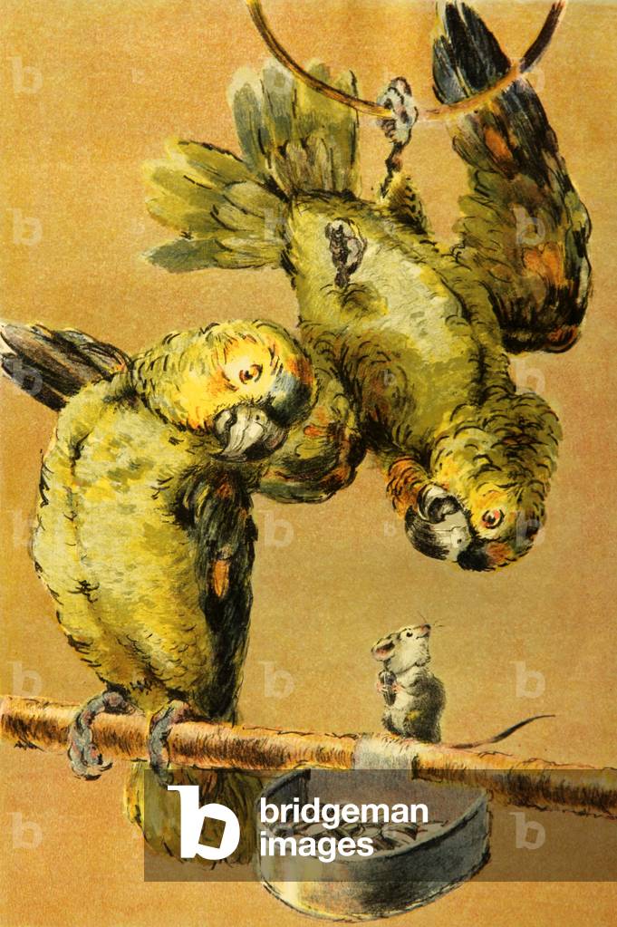 Bild von Druck "Papageien" 1946 von Nina Kuzanyan