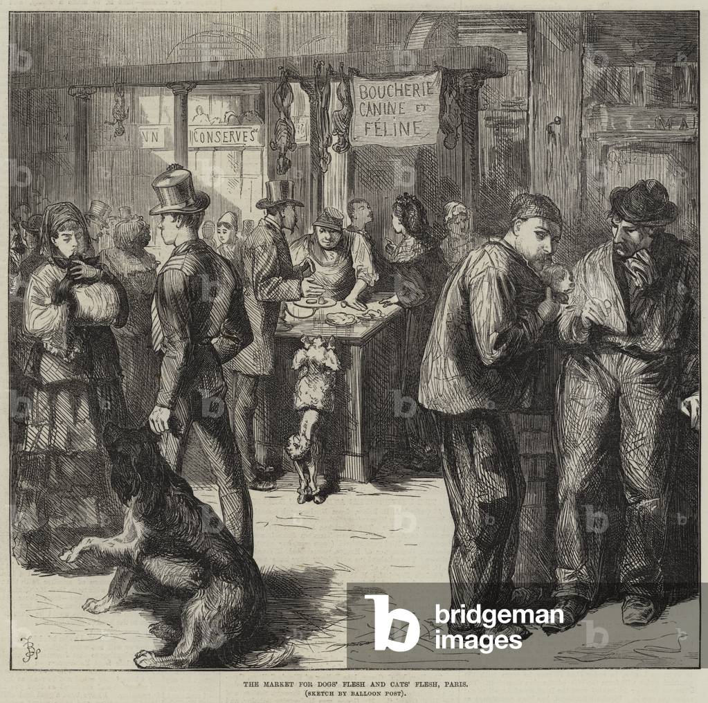 "il mercato per la carne di cani e gatti 'carne" di Frederick Barnard, b/w