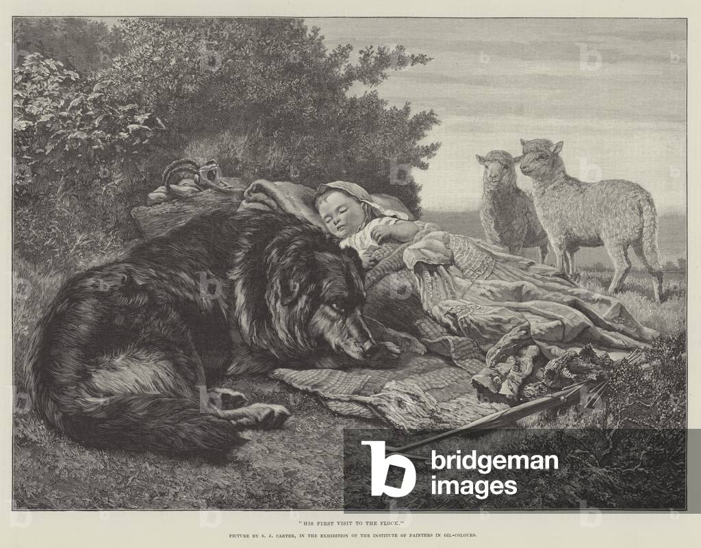 "His First Visit to the Flock by Samuel John Carter