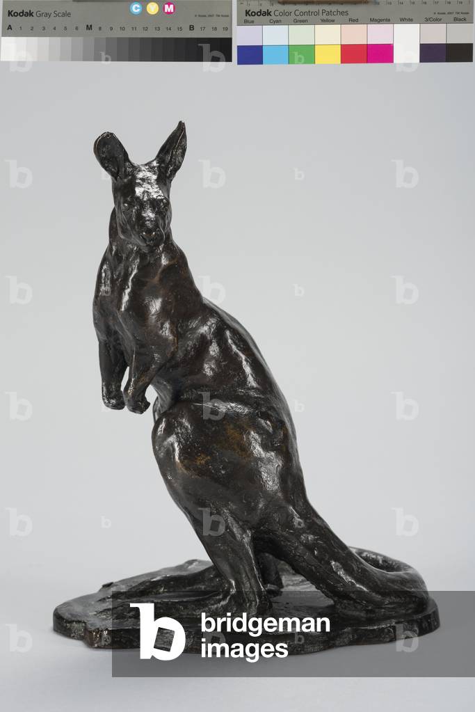 "Canguro (bronzo)" di Arthur Putnam