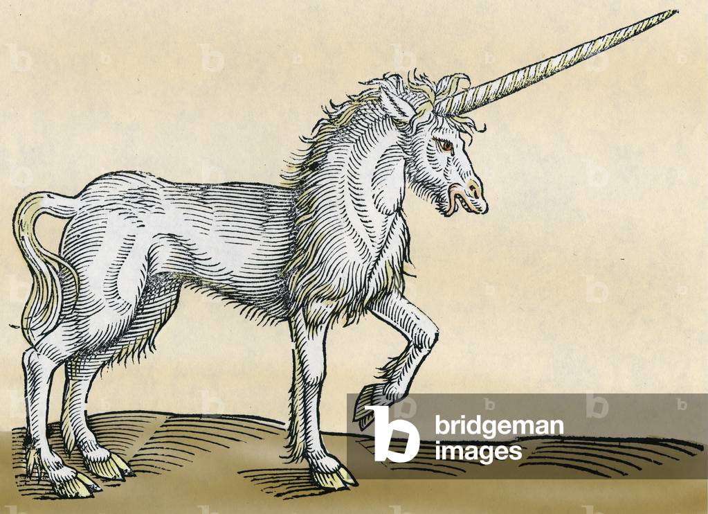 "Einhorn" 1551 von Swiss School
