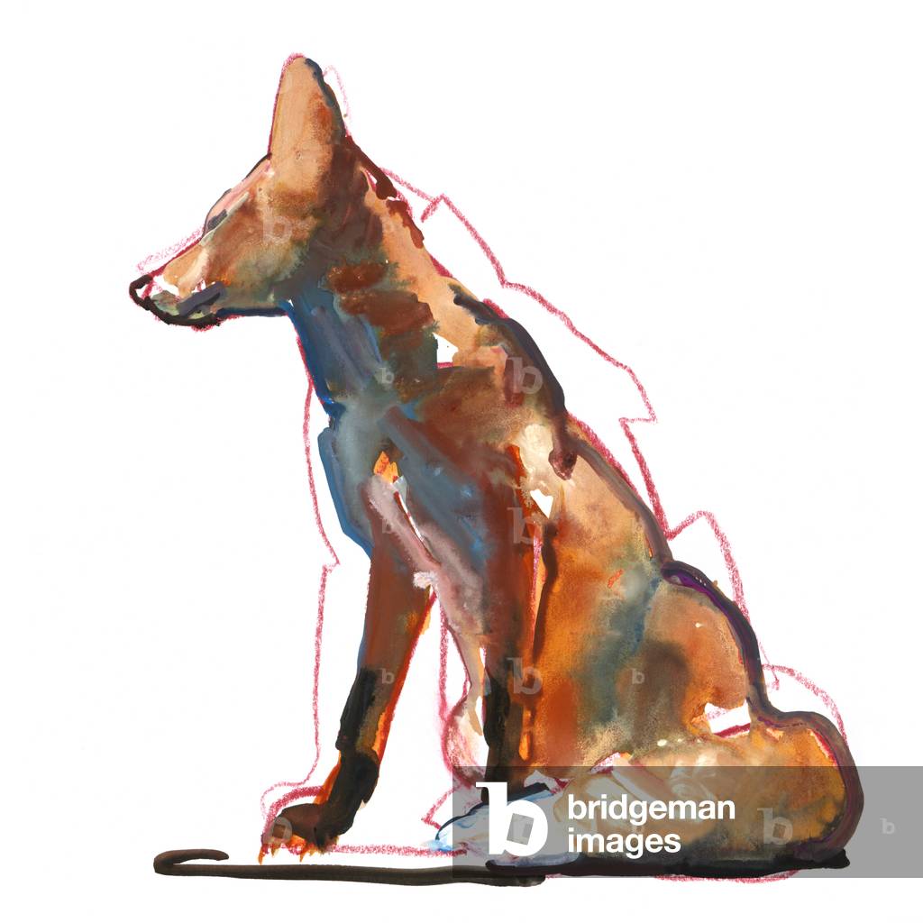 Image of Drawing depicting Pyramid fox 2021 by Mark Adlington