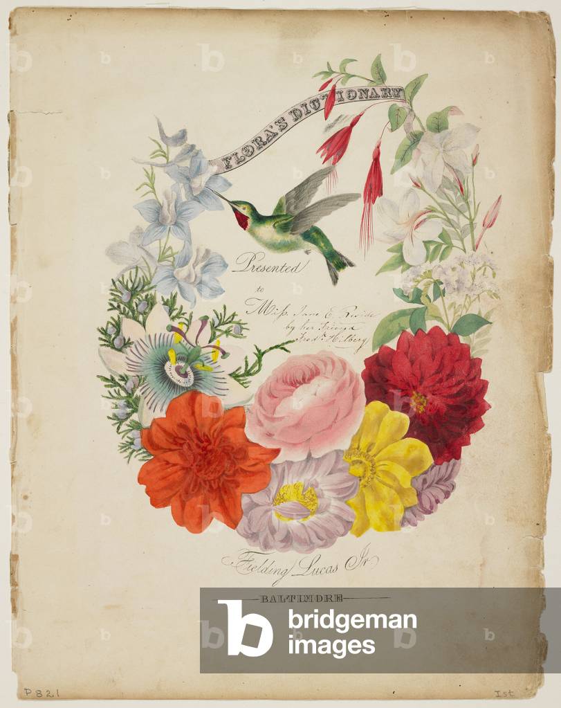 "Presentazione Pagina", 1838 di E. W. Wirt