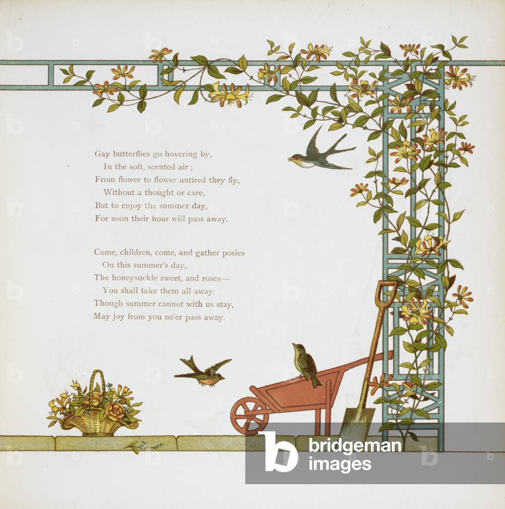 Uccelli su una carriola.