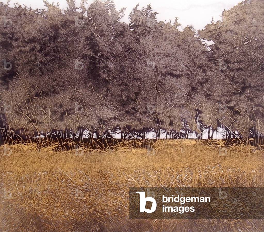 Coppice, 1976 (acquaforte e acquatinta)