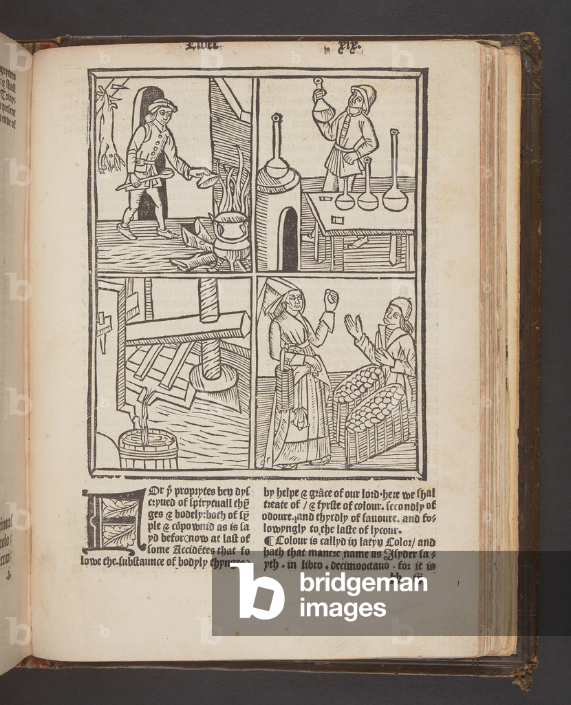 Image de Estampe représentant De proprietatibus rerum' par Bartholomaeus Anglicus (estampe) 1495 par English S
