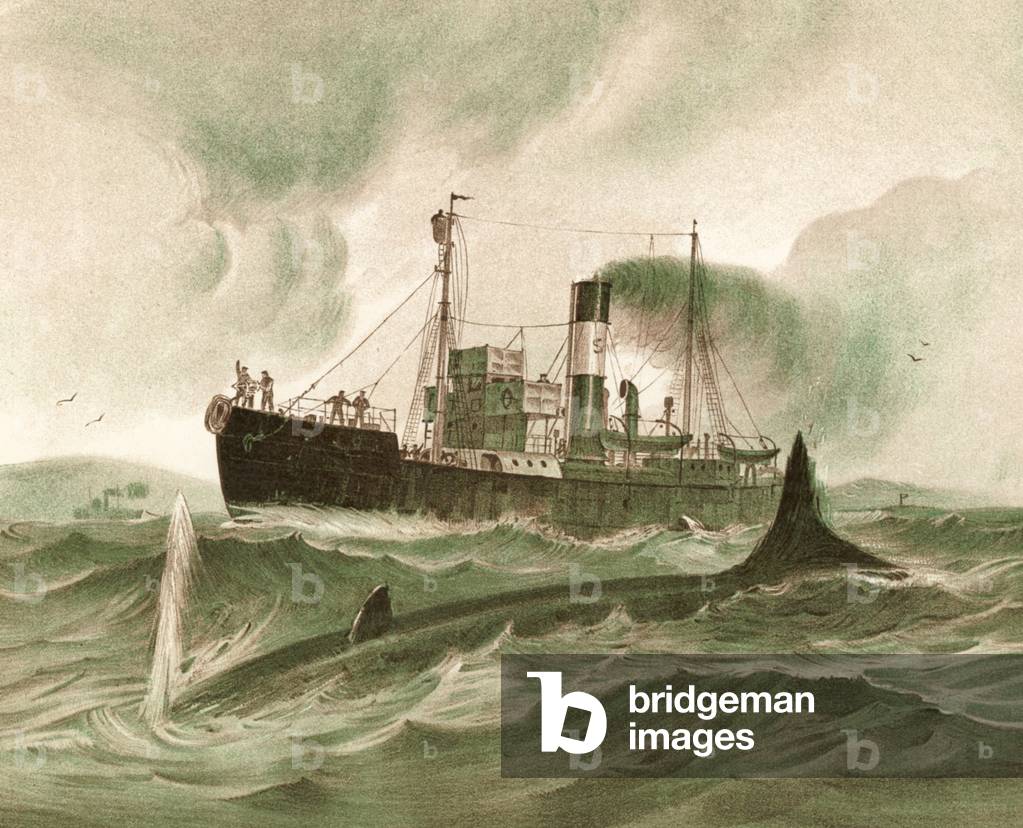 "Cacciatore di balene (colore lito)" di George Horace Davis