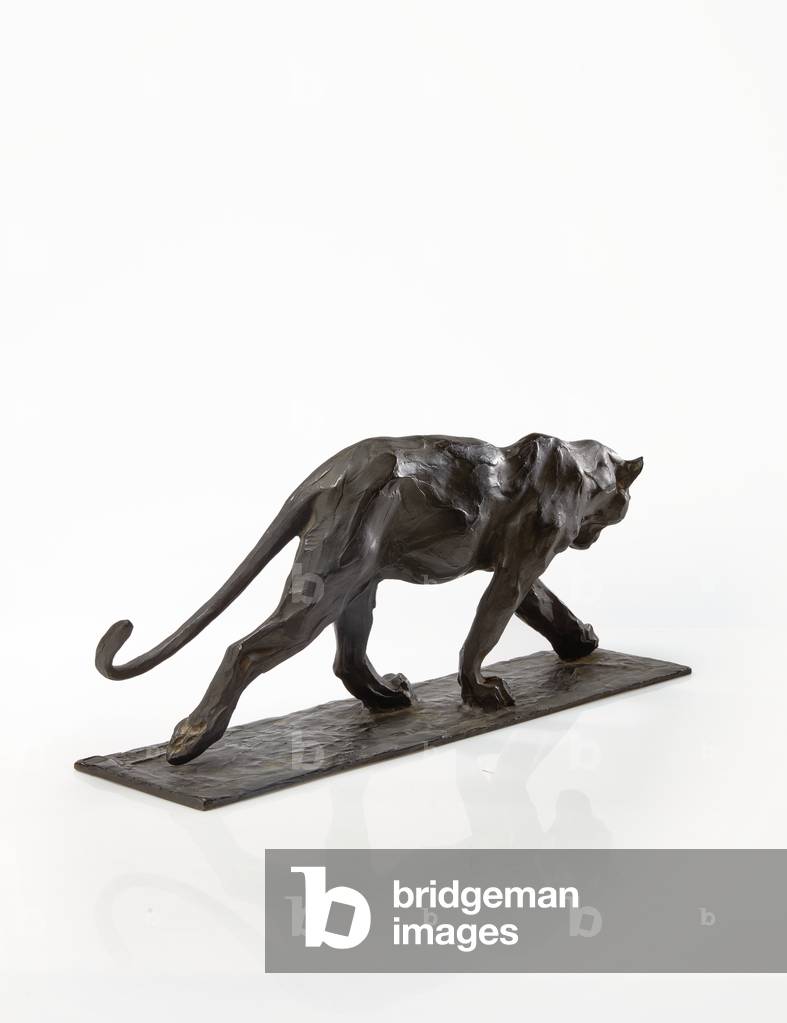 Pantera camminata, gamba posteriore sollevata, c.1904 (bronzo patinato)