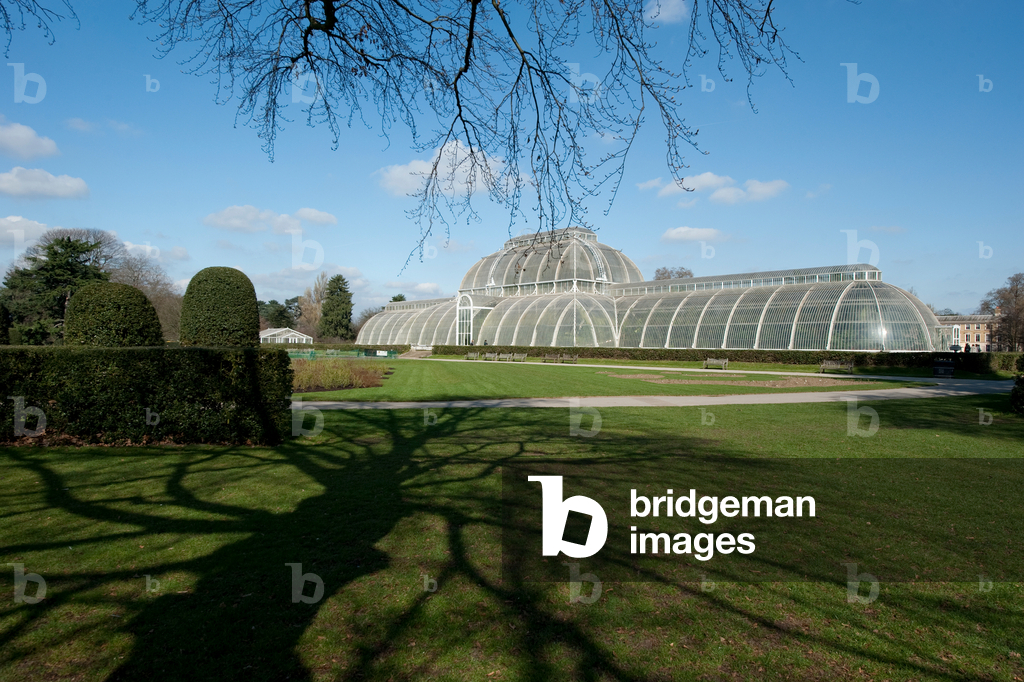 Bild von Fotografie "Palmenhaus" 2011 von Andrew McRobb