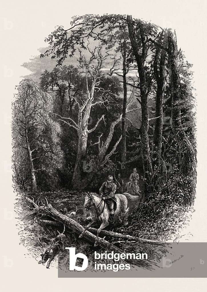 Image of Engraving depicting In Cedar Walk