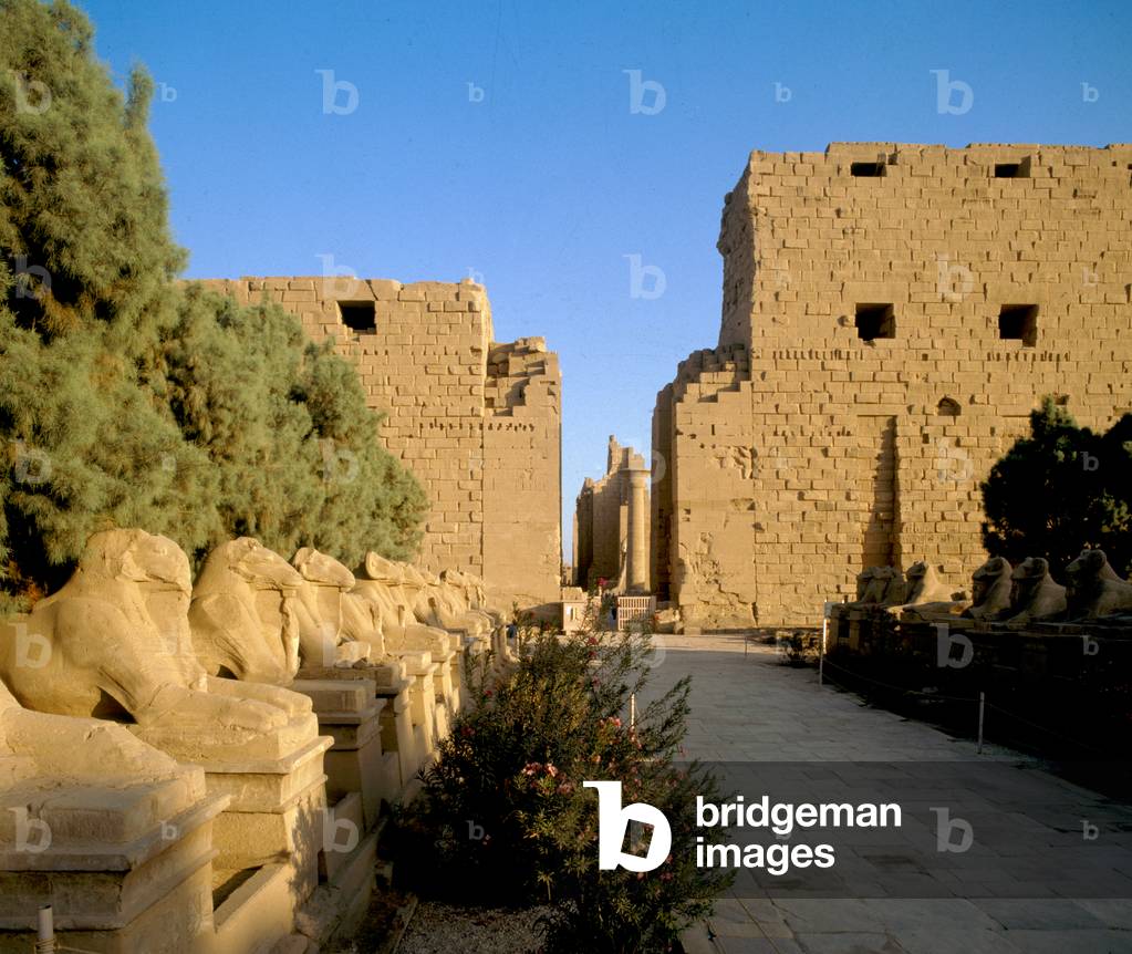 Ägyptische Kunst: Avenue mit Sphinxen - Tempel von Amon, Karnak, Ägypten XIX Dynastie