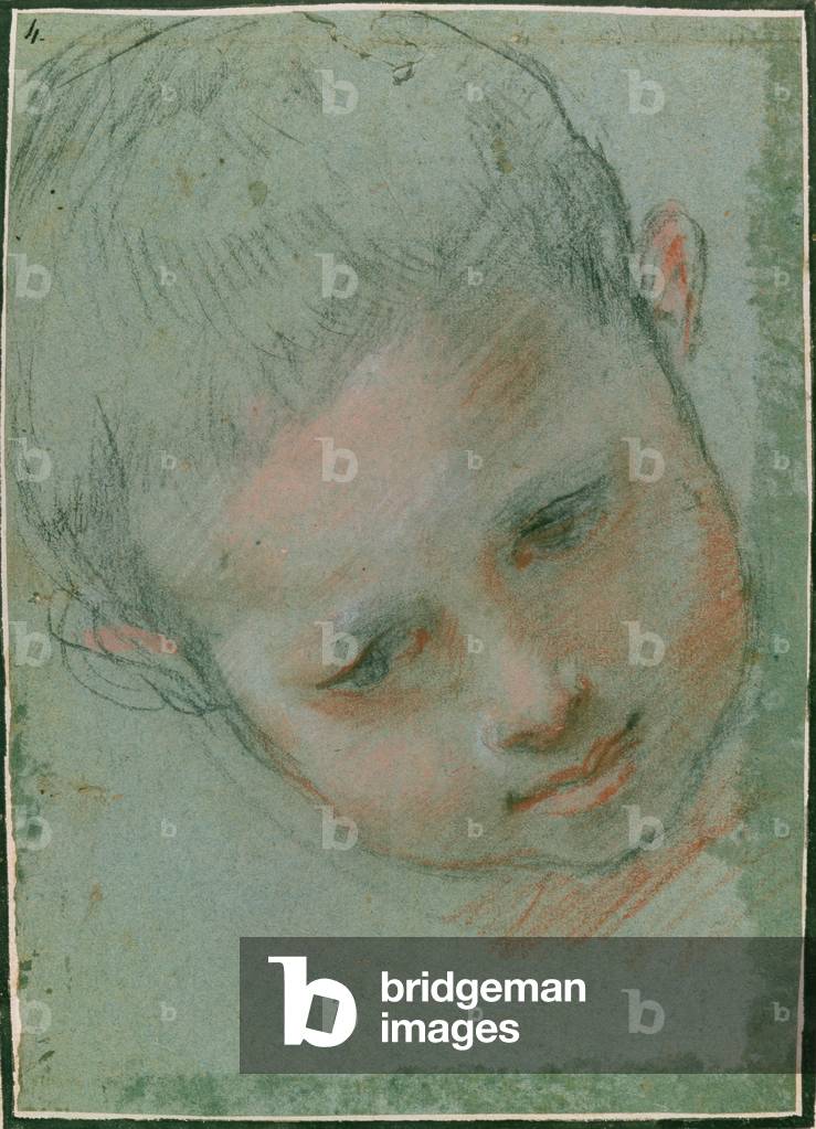 La testa di un ragazzo, c.1586-89 nero, rosso, bianco e carne tonica gesso)