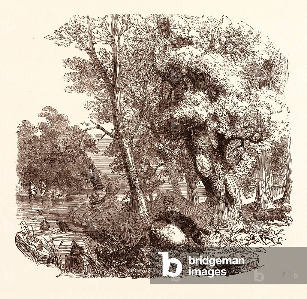 Immagine di Incisione "Caccia alla lontra"