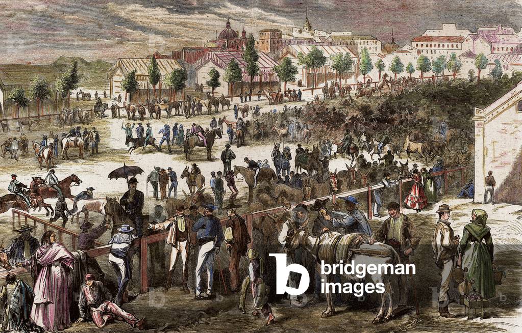Spagna. Madrid. XIX secolo. Mercato del bestiame alla periferia della Porta di Toledo. Incisione
