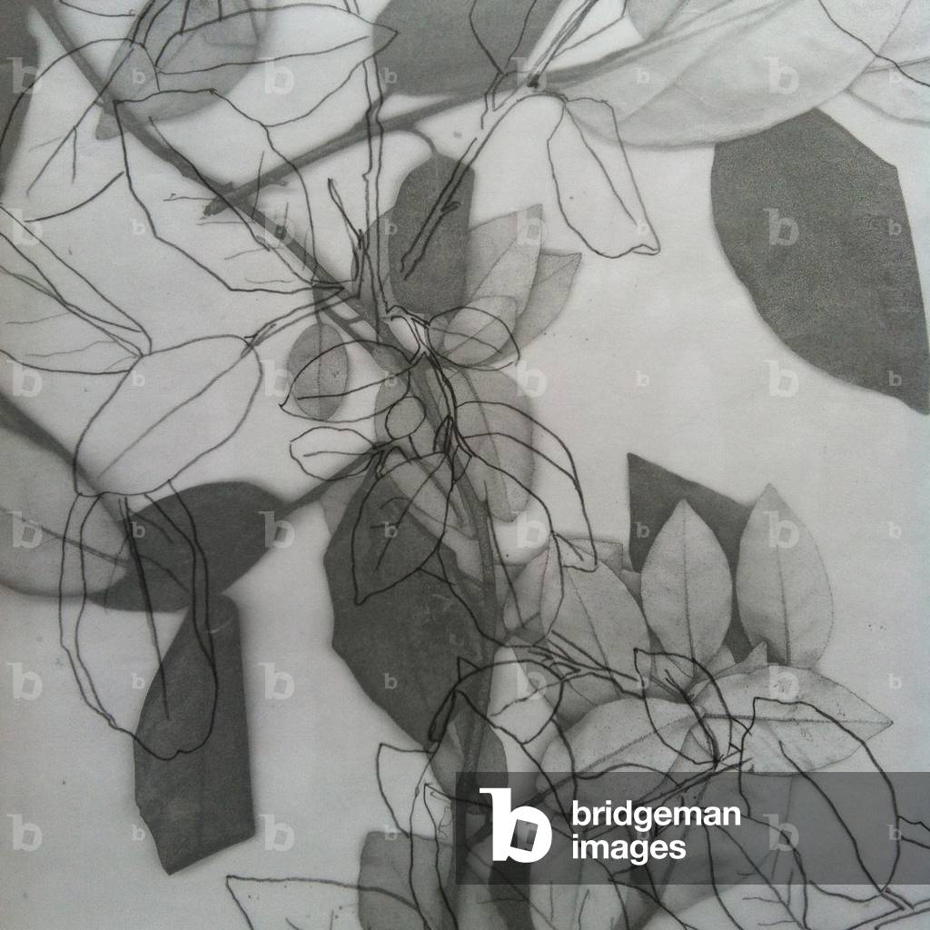 Botanical, 2014 (digitale)