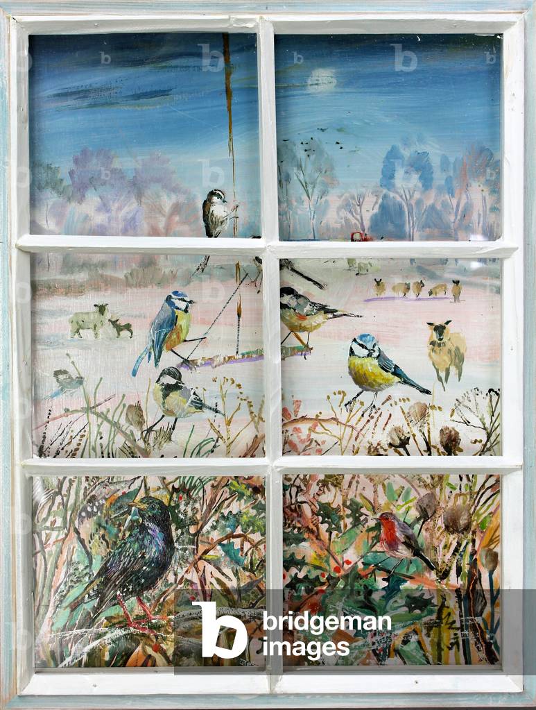 Nourrir les oiseaux