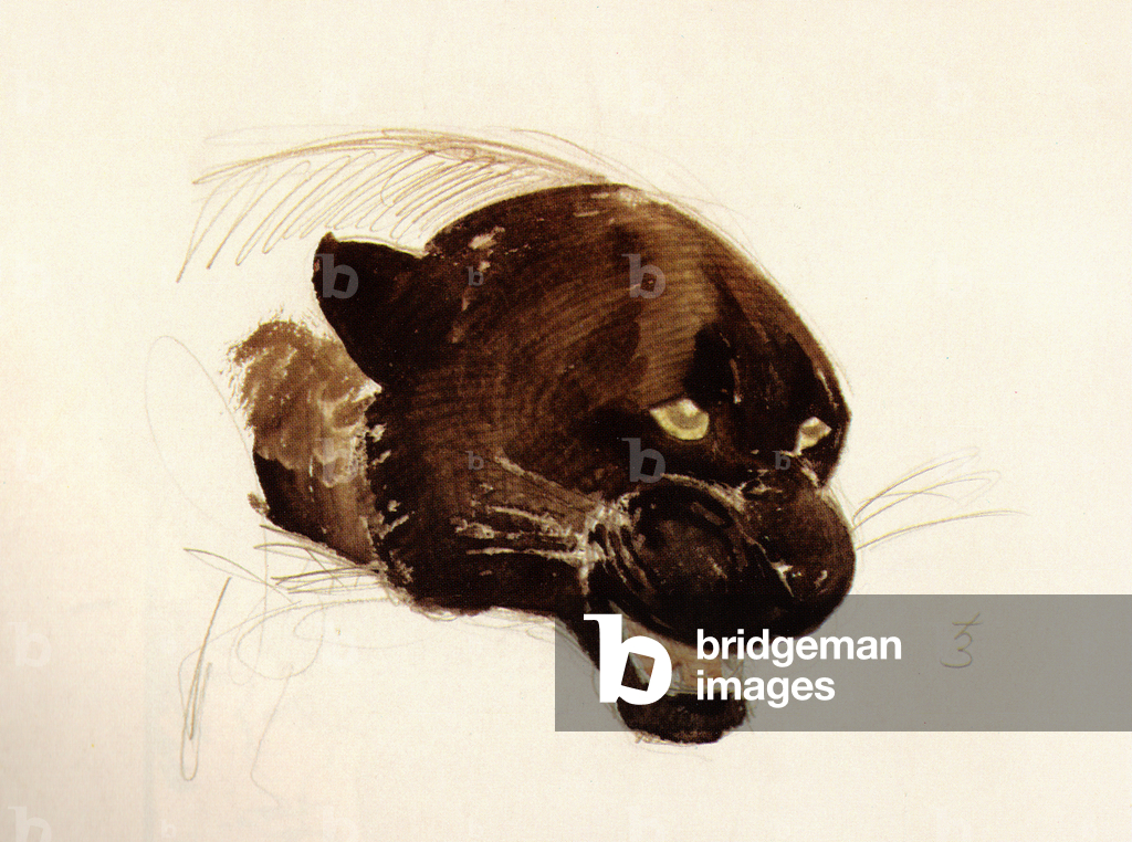 Bild von Zeichnung "Kopf eines Schwarzen Panthers" 1938 von Vadim Trofimov