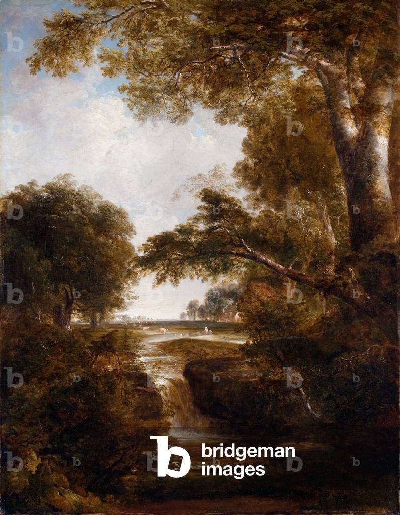 Una cascata, 1833-37 (olio su tela)