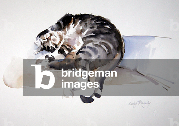 Image of Drawing depicting Lucy Rolling Over (w/c on paper) by Lesley Fotherby