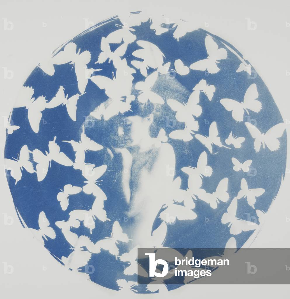 Schwarm, 2014, (Zyanotyp auf Papier)