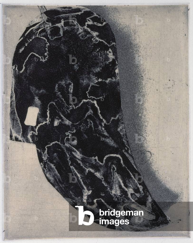 Pflug aus “Onkel Jack's Tool Box”, 1999 (Intaglio-Druck)