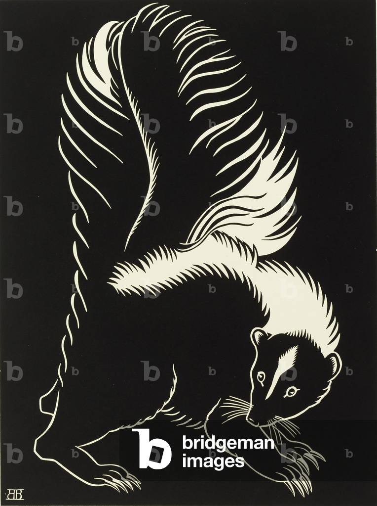 "La Skunk", c.1944 di Belle Baranceanu, b/w