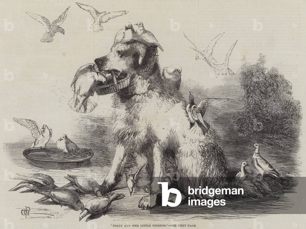 Torheit und ihre kleinen Freunde (Gravur)