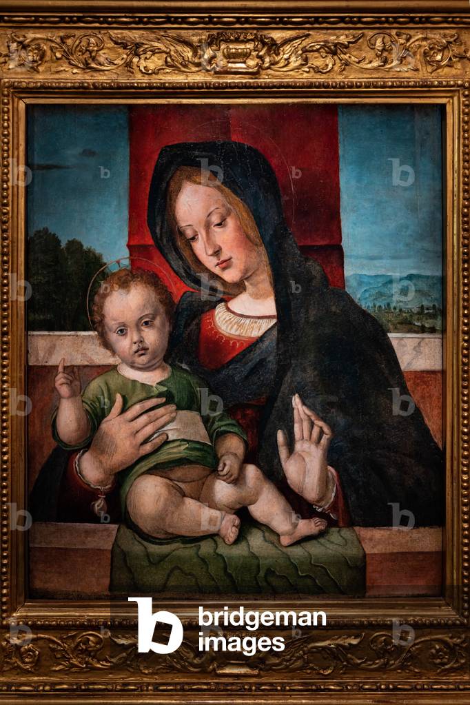 Immagine di Dipinto "Madonna con Gesù bambino" 1490 di Bartolomeo Montagna