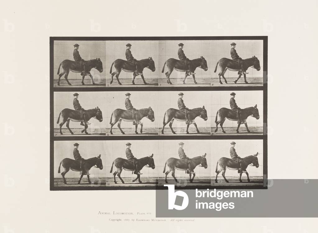 Targa 665. ass a piedi bareback un ragazzo equitazione jennie 1885 collotipo su carta