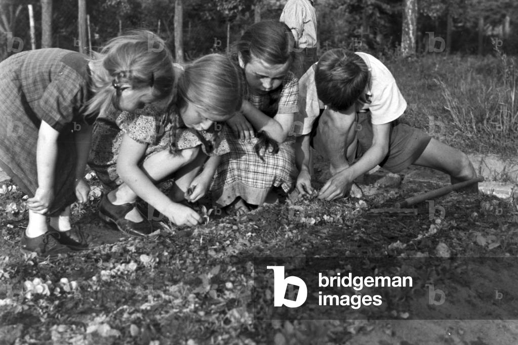 Immagine di Fotografia "Corsi all'aperto presso la scuola rurale di Tiefensee gestita da Adolf Reichwein", b/w