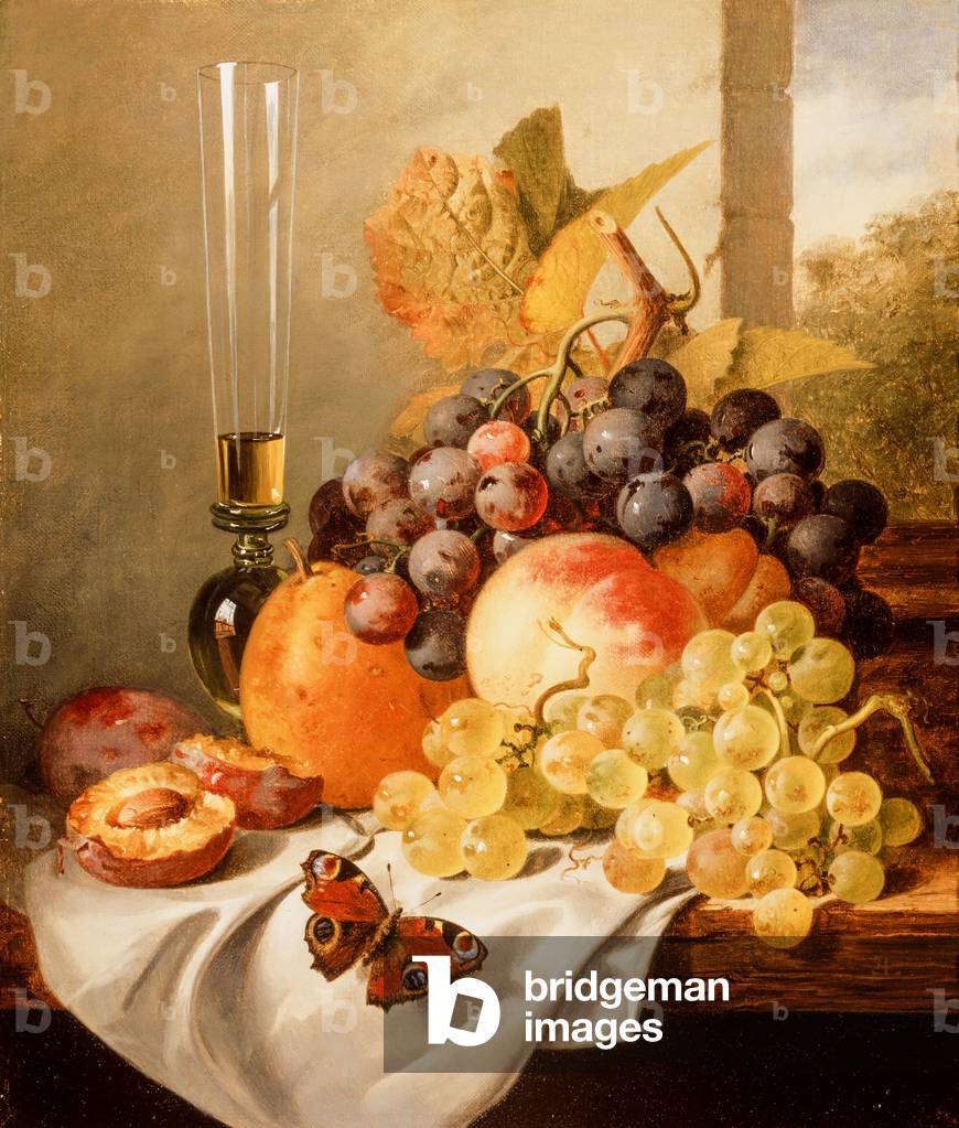 Immagine di Dipinto "Frutta su una sporgenza drappeggiata con un ammiraglio rosso (olio su tela)" 1801 di Edwa