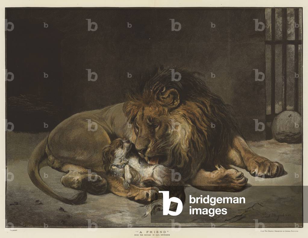 "Ein Freund (chromolitho)" von Paul Friedrich Meyerheim, b/w