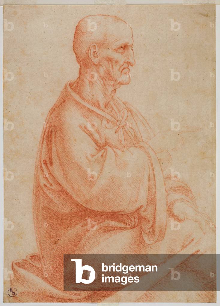 Immagine di Disegno "Vecchio seduto visto di fianco" 1495 di Francesco Melzi or Melzo