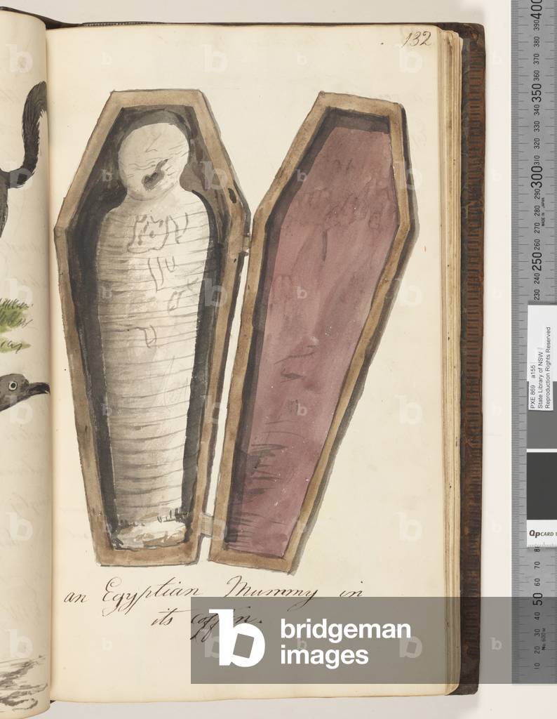 Seite 132. Eine ägyptische Mumie im Sarg, 1810-17 (w/c & Manuskripttext)