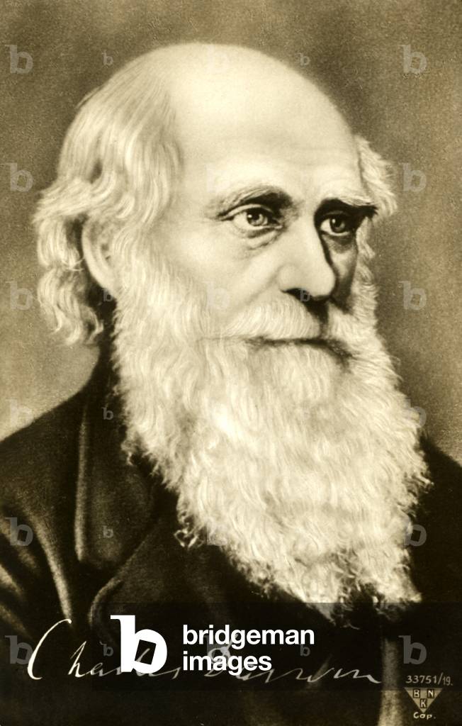 "Charles Darwin - Porträt", b/w